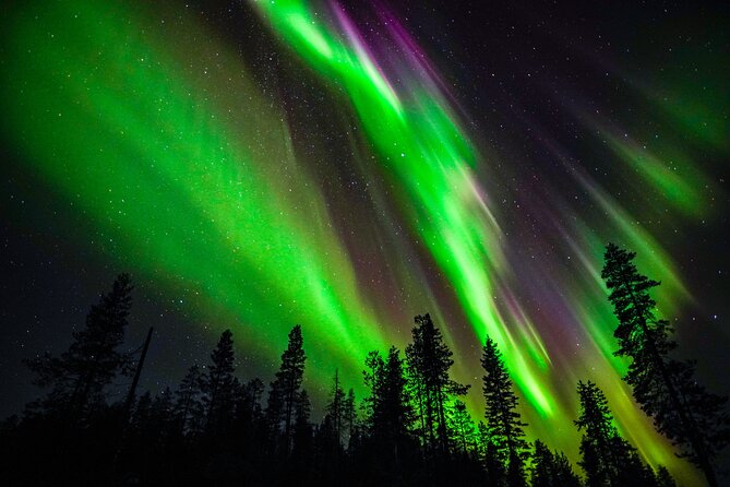 Family-Friendly: Northern Lights Adventure from Rovaniemi - Discover the Family-Friendly Northern Lights Adventure from Rovaniemi at $121 per Person