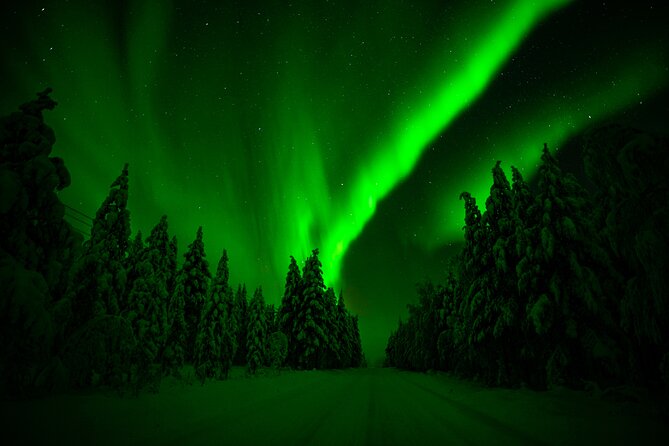 Family-Friendly: Northern Lights Adventure from Rovaniemi - Midway Break at the Campfire in a Traditional Tipi