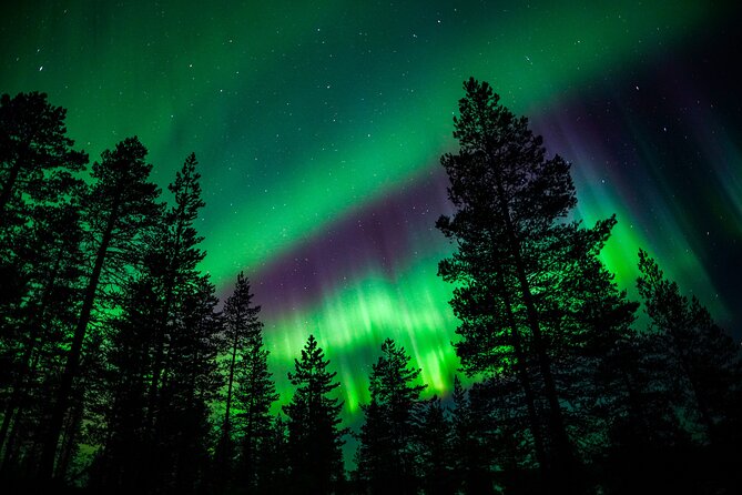 Family-Friendly: Northern Lights Adventure from Rovaniemi - The Expertise of the Guides: Vince and Christoph