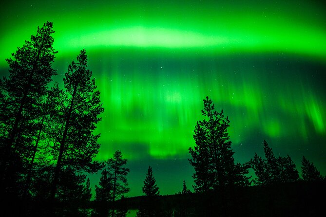 Family-Friendly: Northern Lights Adventure from Rovaniemi - Price and Booking Considerations