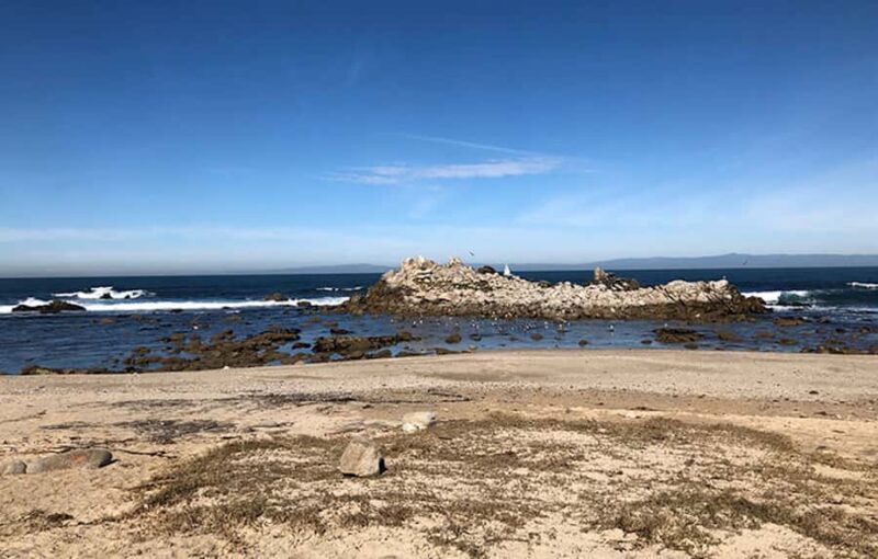 "Family Friendly" Scenic E-Bike Tour along 17 Mile Dr - Explore the Stunning Coastline of 17 Mile Drive on an eBike