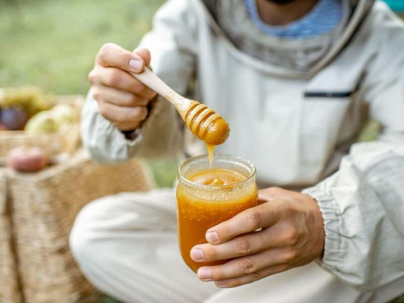 Family-Friendly Tuscany Tour for Wine Lovers & Non-Drinkers - Flexibility and Booking Details