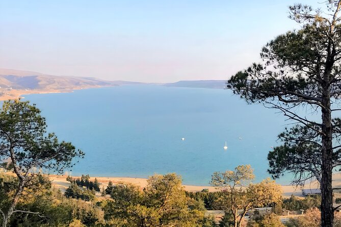 Family Half-Day Tour: Sabaduri, Georgian Chronicles, & Jvari - Comfortable Transportation and Guided Experience