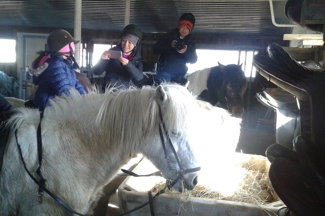 Family Horse Riding Tour in Thorlakshofn - Explore Icelandic Nature on a Family Horse Riding Tour in Thorlakshofn