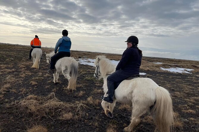 Family Horse Riding Tour in Thorlakshofn - Understanding the Experience Provider: Alhestar Horse Rental and Tours