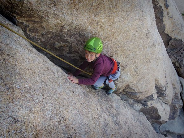 Family Rock Climbing Trips in Joshua Tree National Park (4 Hours) - Key Points
