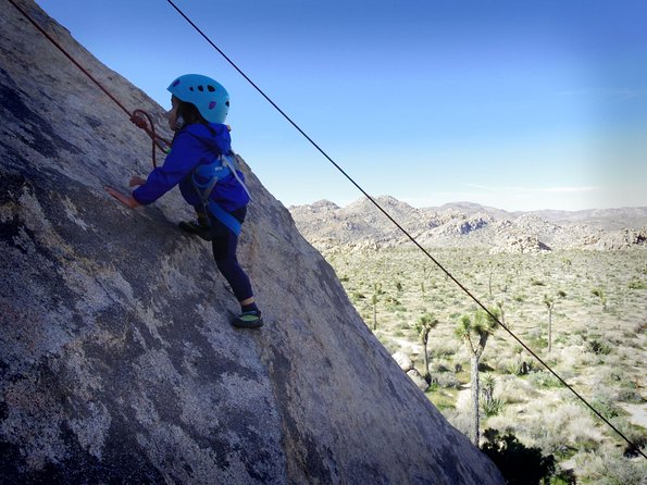 Family Rock Climbing Trips in Joshua Tree National Park (4 Hours) - Logistics and Booking Details