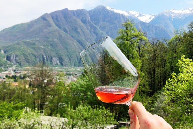 Family tasting - A little tasting - Discover the Charm of a Family-Owned Vineyard in Lake Maggiore