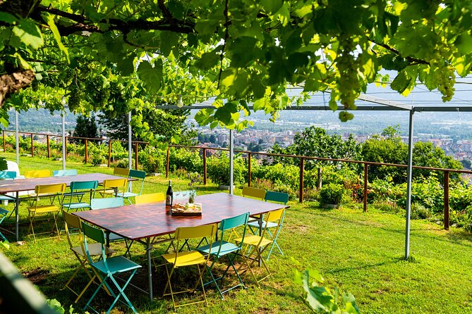 Family tasting - A little tasting - Who Will Enjoy This Experience Most?