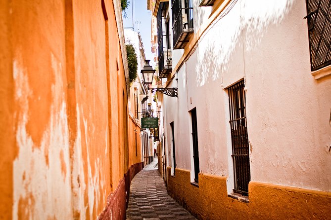 Family tour in Seville . Private - The Guide and Personal Touch