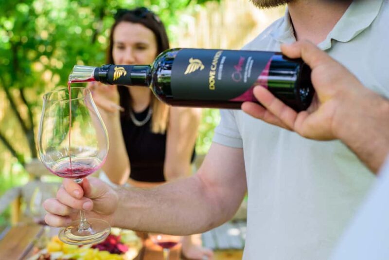 Family Village Winery Tour & Tasting in Aghavnadzor - Who Should Consider This Tour?