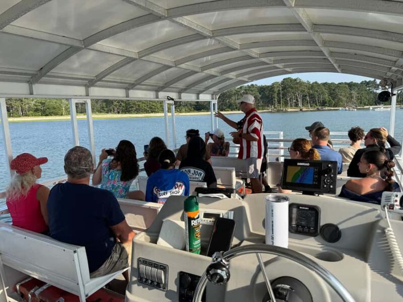 Famous Chincoteague Pony Cruise with Expert Narration - Comfort and Practicalities on the Modern Boat