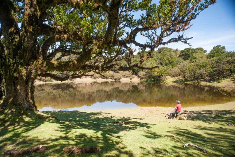 Fanal Assobiadores Trail - Key Points