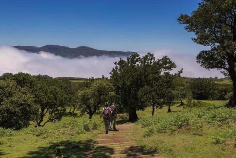 Fanal Assobiadores Trail - Final Thoughts on the Fanal Assobiadores Trail