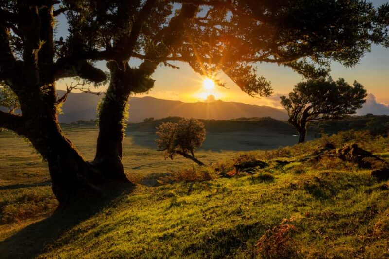 Fanal Assobiadores Trail - Frequently Asked Questions