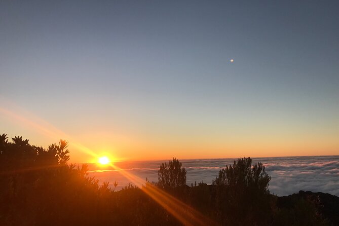 Fanal Forest Private Sunset Hike - Walking Through the UNESCO Heritage Laurissilva Forest
