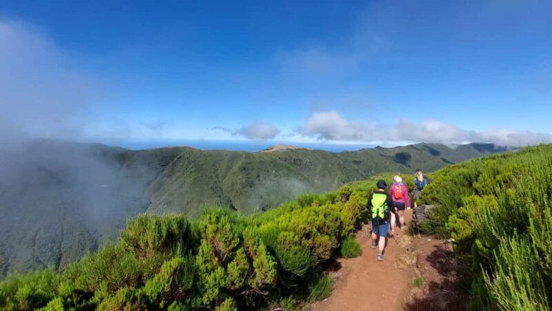 Fanal Forest Walk & Meal - Key Points