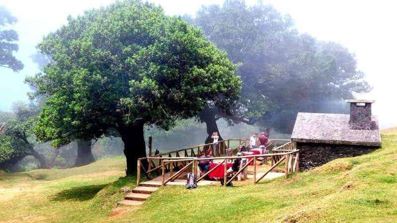 Fanal Forest Walk & Meal - Frequently Asked Questions