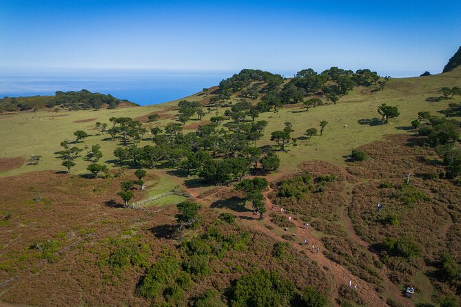 Fanal & Porto Moniz - West Madeira Tour - Relax in Porto Moniz’s Natural Lava Pools