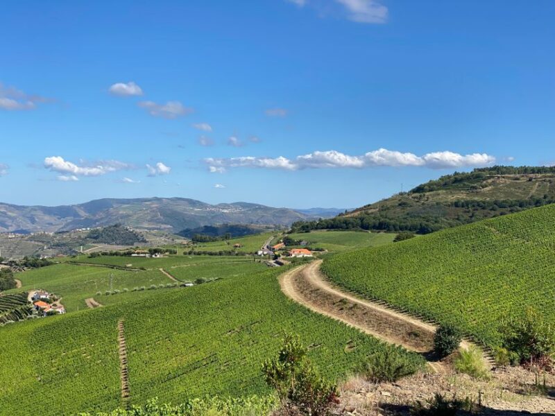 Fancy Douro from Porto - private walk + lunch + wines - Key Points