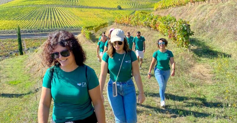 Fancy Douro from Porto - private walk + lunch + wines - Guided Tour of the Winery and Cellars