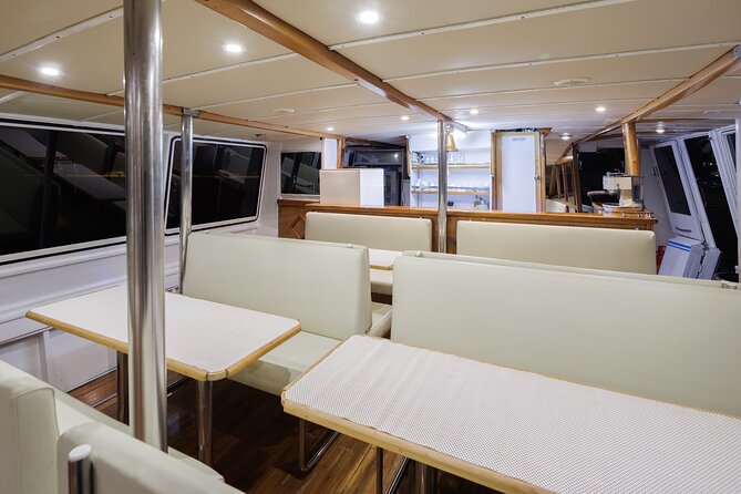 Fantastic DOLPHIN & SUNSET TOUR with dinner (Pula - NP BRIJUNI) - Discover Pula’s Premier Dolphin and Sunset Tour with Dinner