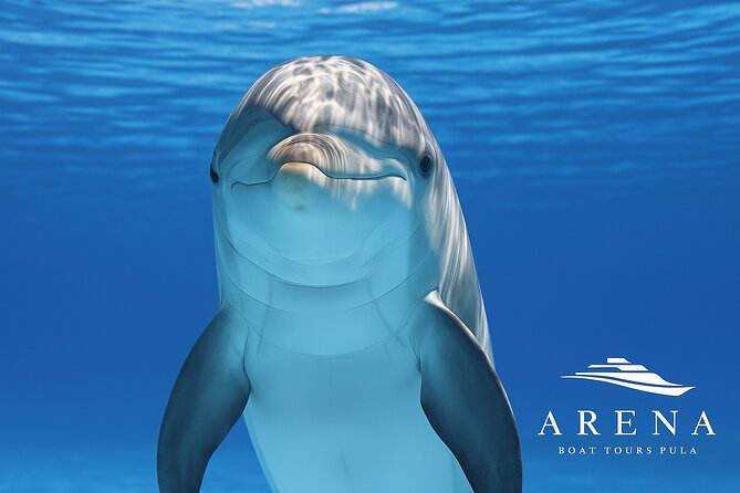 Fantastic DOLPHIN & SUNSET TOUR with dinner (Pula - NP BRIJUNI) - Key Points