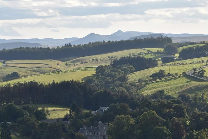 Farm Attraction - Highland Cows, Animal Feeding, Wholesome fun! - Meet Highland Cows and Other Farm Animals