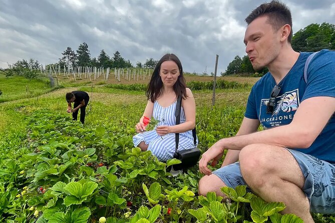 FARM STAY EXPERIENCE & DOZZA - Private Day Tour From Bologna - Farm Stay at Agriturismo La Taverna: A Taste of Local Agriculture