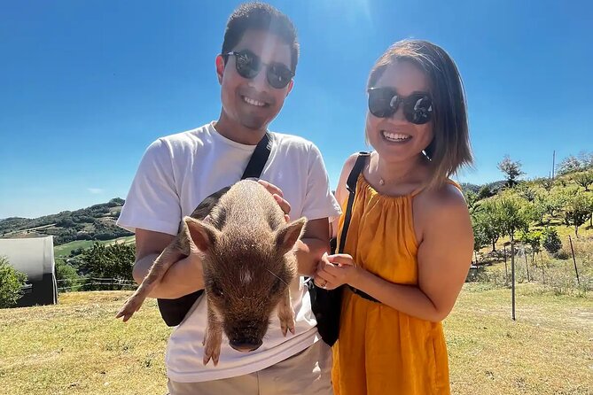 FARM STAY EXPERIENCE & DOZZA - Private Day Tour From Bologna - Exploring Dozza’s Colorful Streets and 14th Century Rocca