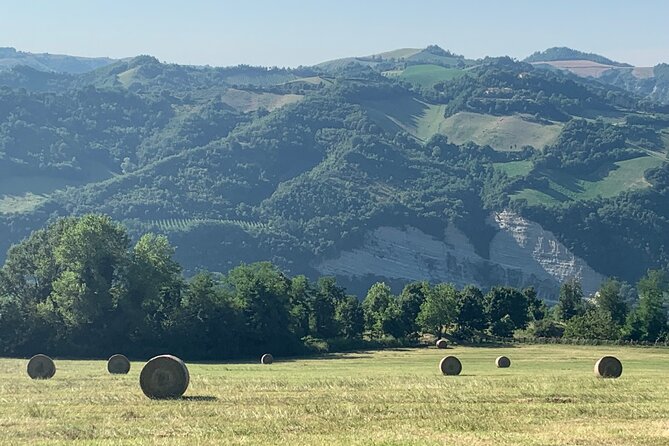 FARM STAY EXPERIENCE & DOZZA - Private Day Tour From Bologna - Scenic Drive and Cultural Stop in Fontanelice