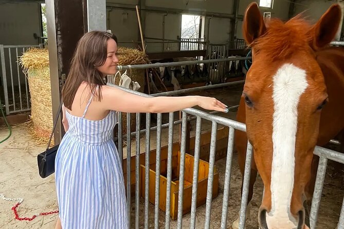 FARM STAY EXPERIENCE & DOZZA - Private Day Tour From Bologna - Logistics and Practical Details