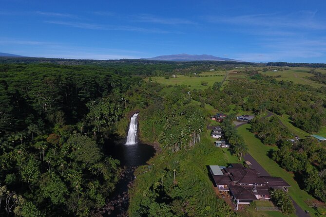 Farm to Table Cooking Class at Kulaniapia Falls - The Delicious Lunch and Take-Home Recipes