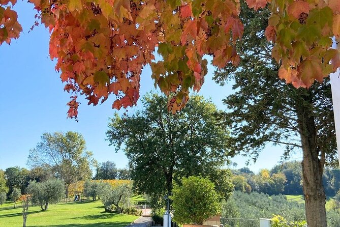 Farm To table Experience on an organic hilltop estate in Tuscany - Tasting Farm-Grown Produce and Local Wines
