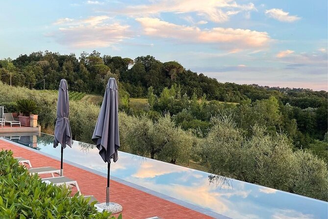 Farm To table Experience on an organic hilltop estate in Tuscany - Leisure Time: Swimming and Relaxing at the Estate