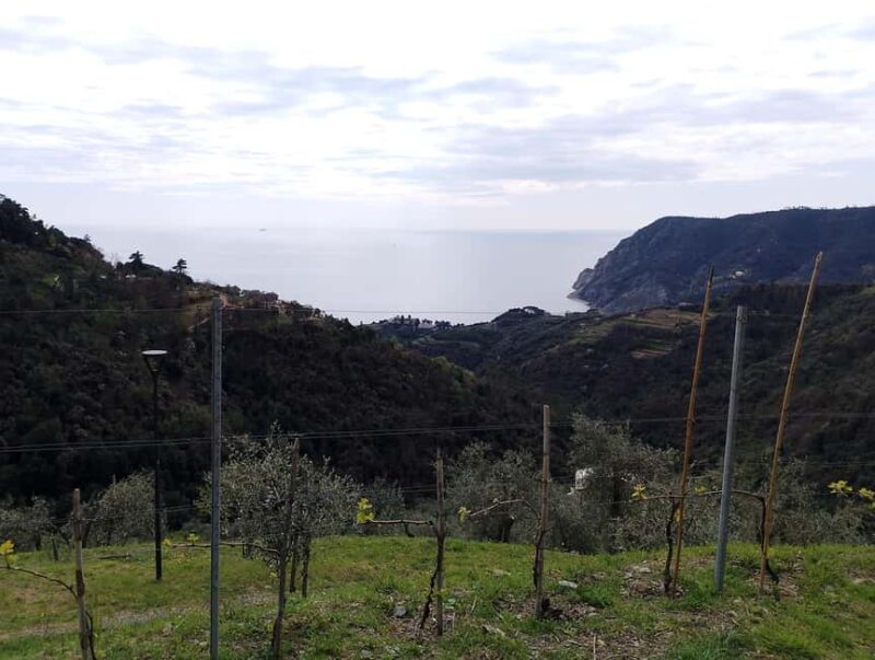 Farmhouse aperitif + electric bike tour in Monterosso al Mare - The Farmhouse Aperitif with Local Products