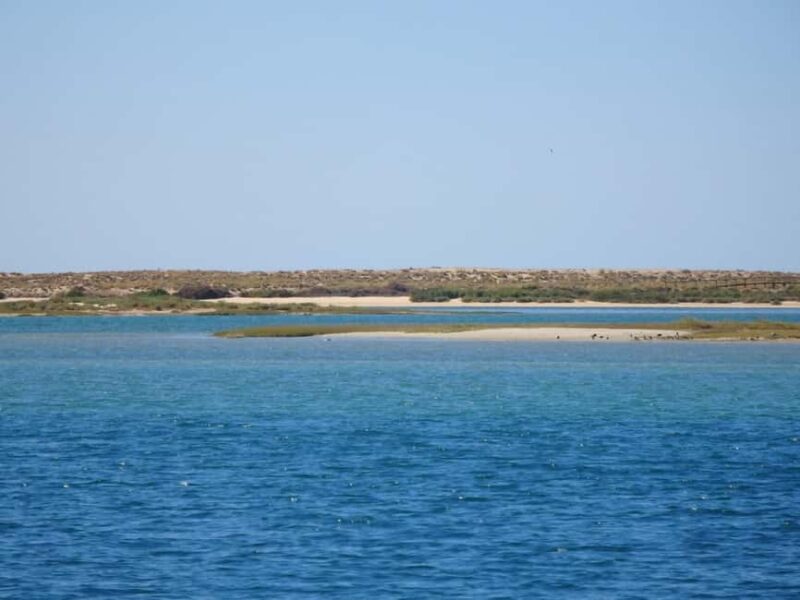 Faro: Boat Tour to Desert Island - Starting Point in Faro and Easy Access to the Boat