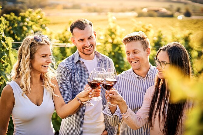 Faro City Portuguese Wine Tasting and Tapas Guided Tour - Exploring Arco da Vila and Tasting Regional Wines