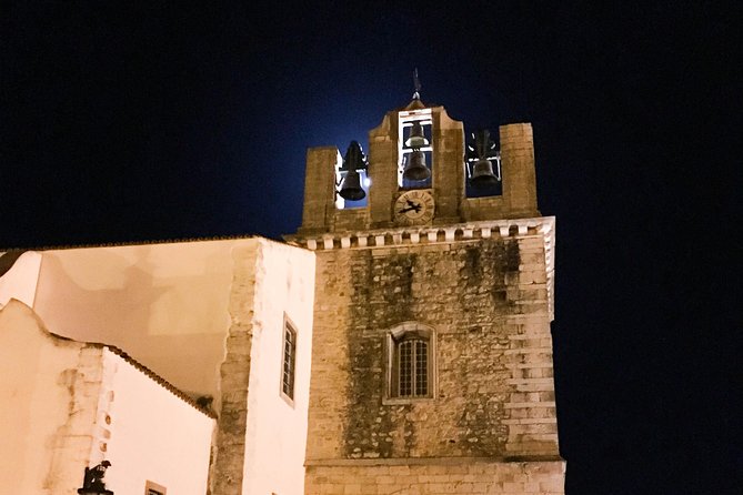 Faro Cultural by Night Segway Tour - Safety, Accessibility, and Physical Requirements