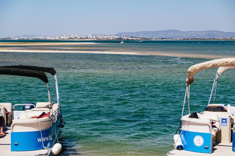 Faro: Deserta Island and Farol Island Catamaran Boat Trip - Scenic Return to Faro and Views Along the Coast
