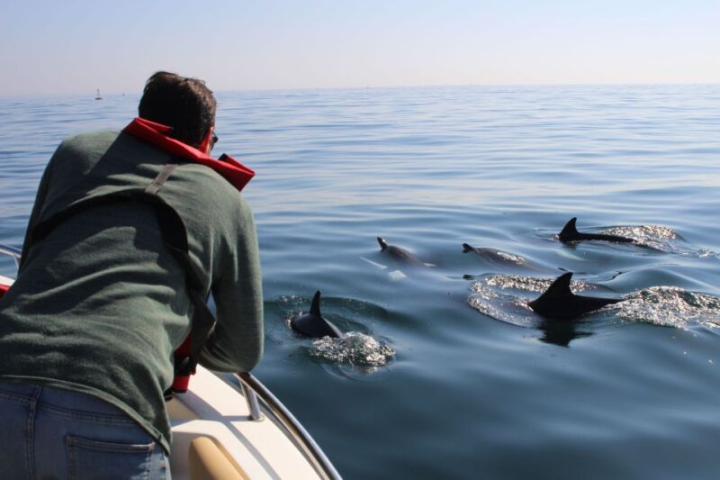 Faro: Dolphin and Marine Life Watching Boat Tour - Navigating the Barrier Islands: Deserta and Farol