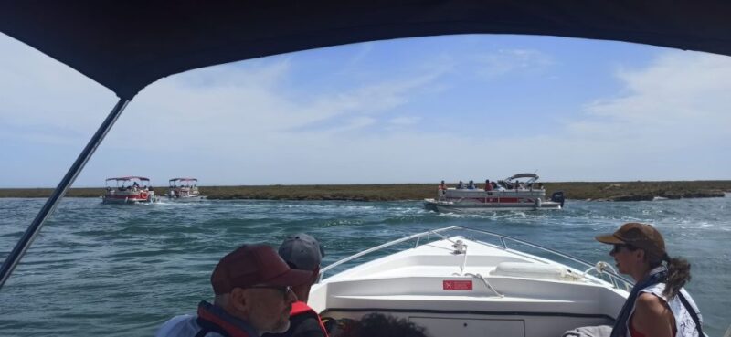 Faro: Dolphin and Marine Life Watching Boat Tour - Practical Details: Meeting Point and Accessibility