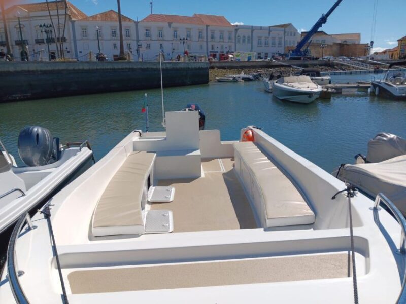 Faro: Dolphin and Marine Life Watching Boat Tour - Who Should Consider This Tour