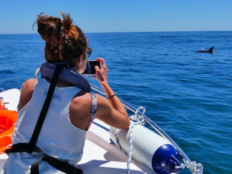 Faro: Dolphin and Wildlife Watching in the Atlantic Ocean - How Marine Biologists Enhance the Experience