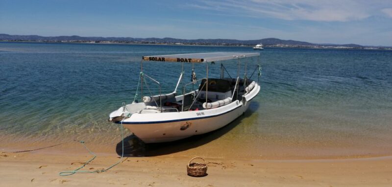Faro: Eco-Friendly Ria Formosa Bird Watching in Solar Boat - Comparing Similar Tours