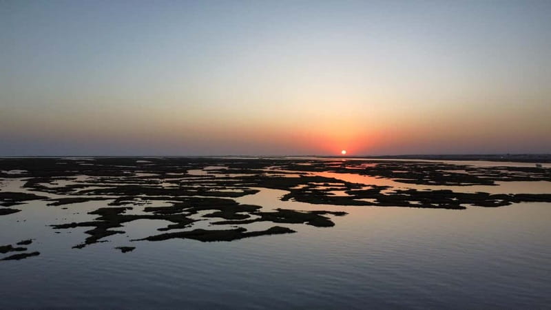 Faro: Half Day Private Tour in Ria Formosa Natural Park - Practical Details and Group Size Advantages