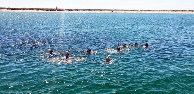 Faro: Half Day Private Tour in Ria Formosa Natural Park - Frequently Asked Questions