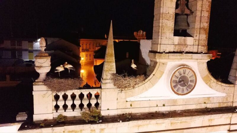 Faro: Night Segway Tour with Cocktails - Key Points