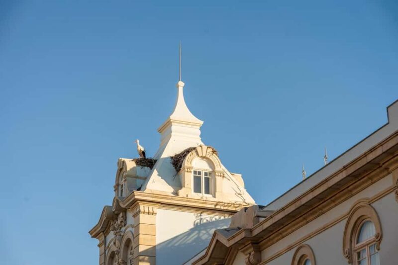 Faro: Private 2-Hour Old & New City Walk with Market Visit - Logistics and Meeting Details for a Smooth Experience