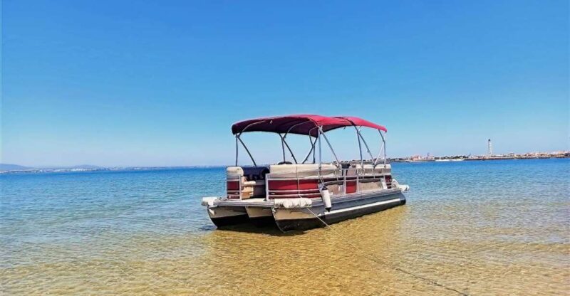 Faro: Private Ria Formosa Faro Islands Boat Tour - Exploring Faro’s Islands: Farol and Deserta